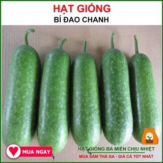 Hạt Giống Bí Đao Chanh F1 20 Hạt