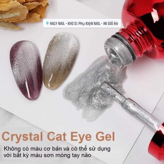 Nước sơn mắt mèo kim cương AS siêu HOT 2020 chai đỏ