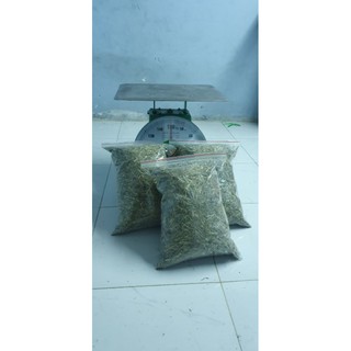 Cỏ Timothy Thái cắt sẵn