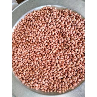 Lạc quê( đậu phộng) 1