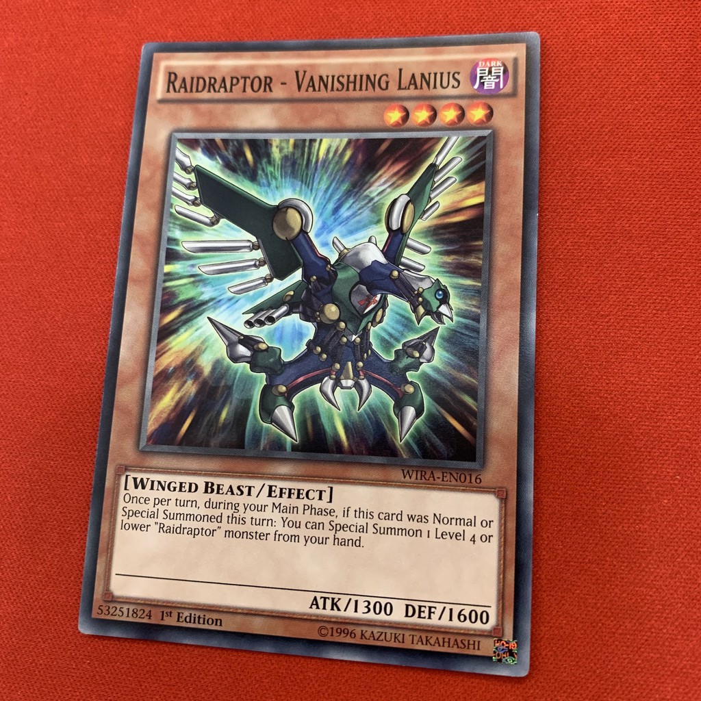 Raidraptor - Vanishing Lanius