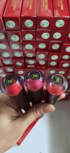 FREESHIP 99K Son rose mini garden chính hãng