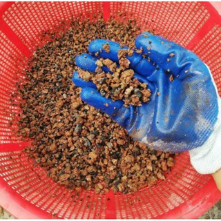 Xỉ than dùng để trộn dất trồng cây