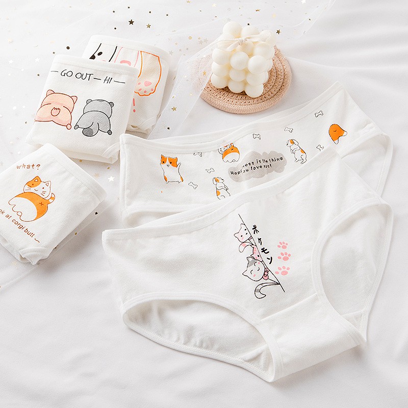 Set 5 quần lót nữ cotton dễ thương họa tiết mèo Go out_NuciFera