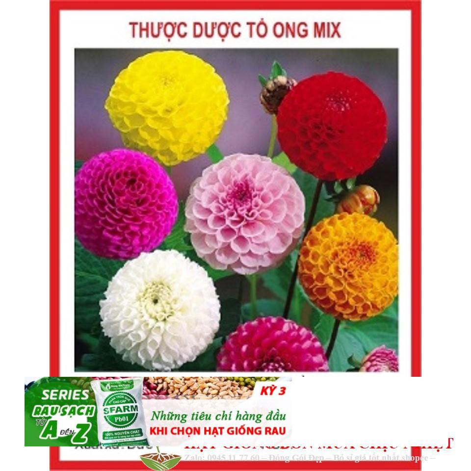 Hạt Giống Hoa Thược Dược Tổ Ong Mix 20 Hạt ĐẾN MÙA TRỒNG TẾT