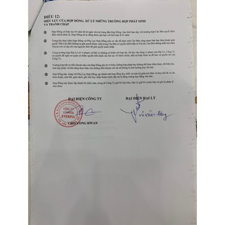 Ruột gối Everon Micro chính hãng