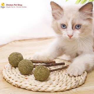Kẹo Que Catnip Bạc Hà Mèo Thư Giãn Giảm Stress Cho Mèo