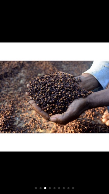 100GAM NỤ ĐINH HƯƠNG TÂY BẮC GIA VỊ THƠM NGON - HÀNG CÔNG TY THẢO DƯỢC VIỆT