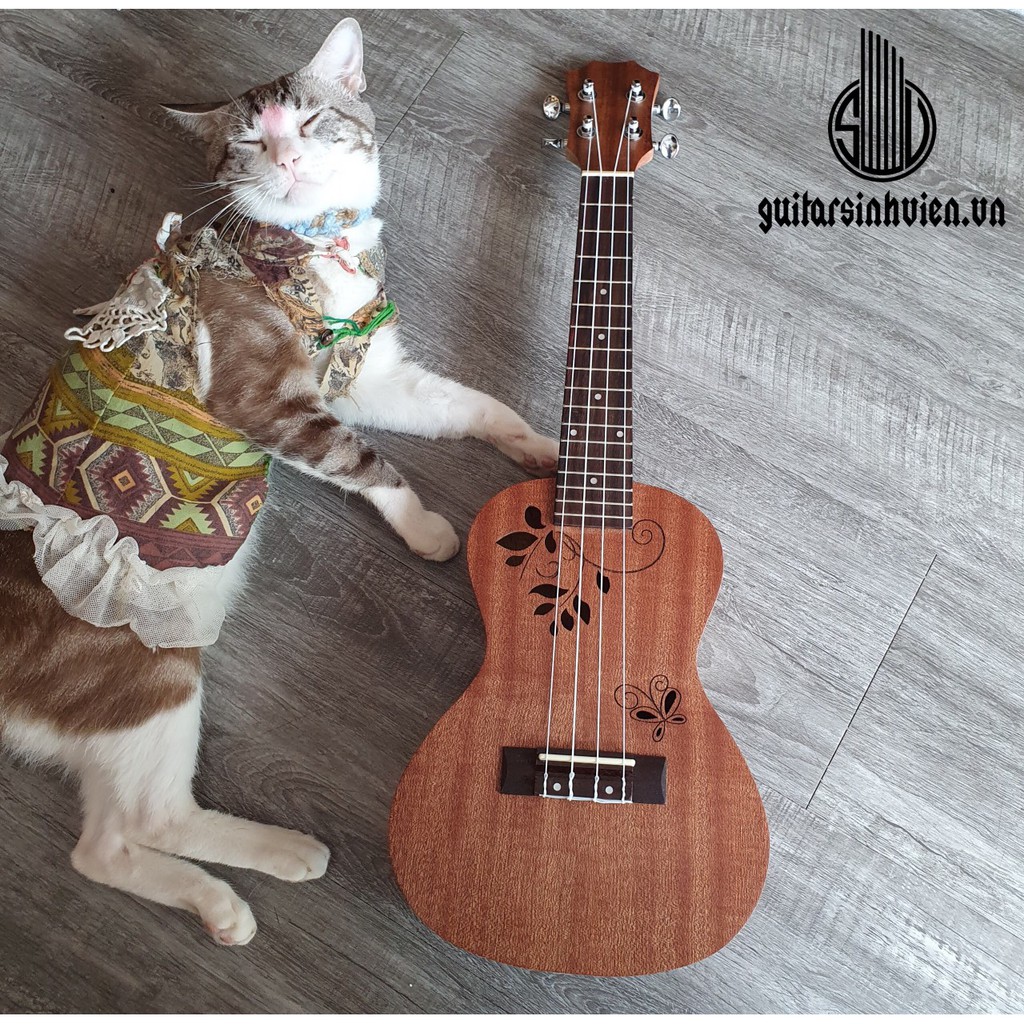 [ Giá hủy diệt] Đàn ukulele concert 62cm - Đàn cao cấp gỗ mahogany 3 lớp - Khóa đúc không rỉ - Tặng phụ kiện