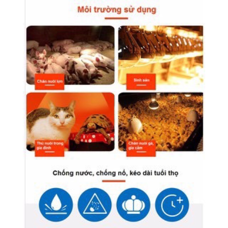 Bòng đèn hồng ngoại sưởi ấm cho thú cưng Sao Việt / Dịch Tông