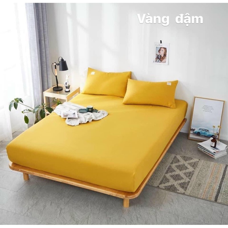 Bộ ga và 2 áo  gối cotton Tici  drap giường cotton đơn sắc