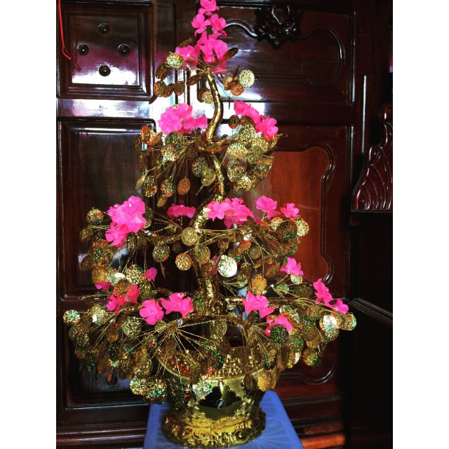 Cây cánh vàng lá ngọc cao 70cm hoa Đào pha lê siêu đẹp 850k PHK shop