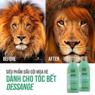🧴🧴Dầu gội Dessange xanh