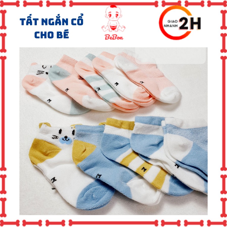 Sét 5 đôi tất lưới cổ thấp Kid's Socks