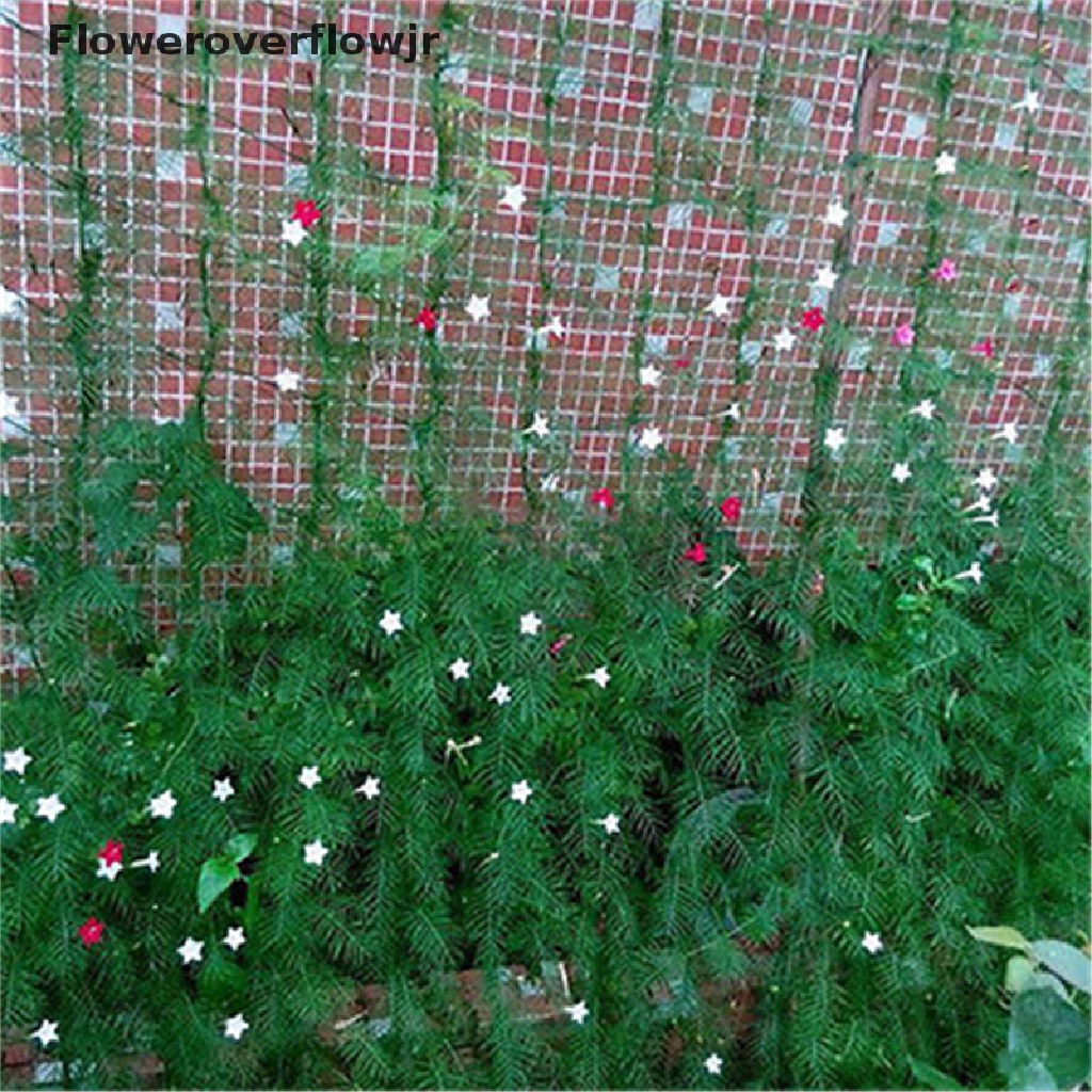 Hàng Rào Lưới Nylon Màu Xanh Lá Cây Hỗ Trợ Trồng Cây Dây Leo