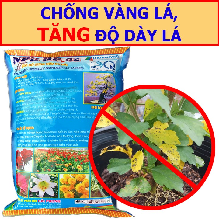 Phân Hữu Cơ Đạm Cá Viên Hải Phong 1KG - Giàu Dinh Dưỡng Cho Rau Hoa Kiểng