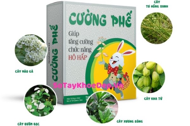 Cường Phế - Hộp 10 ống [Tích điểm 10 tặng 1]