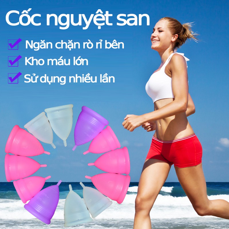 Bộ Cốc nguyệt san siêu mềm dễ sử dụng