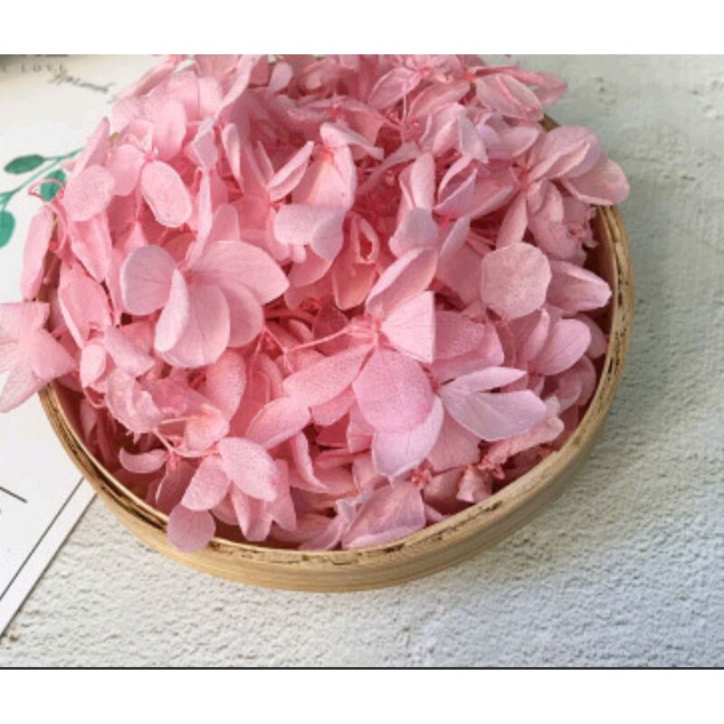 Hoa cẩm tú khô trang trí resin handmade, nail hoặc làm tranh