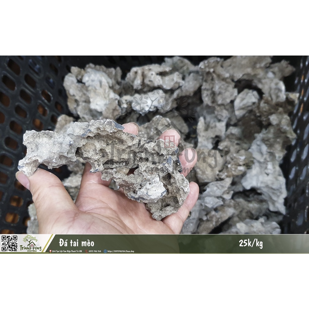 Đá tai mèo 1kg setup tiểu cảnh bán cạn, terrarium, ghép bonsai