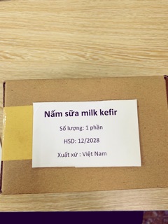 Nấm sữa kefir/Milk kefir