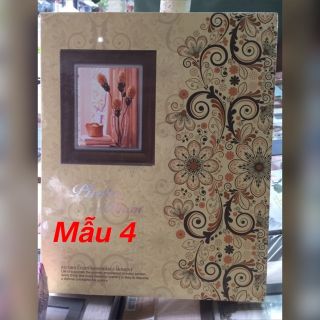 ALBUM 200 ảnh 15x21