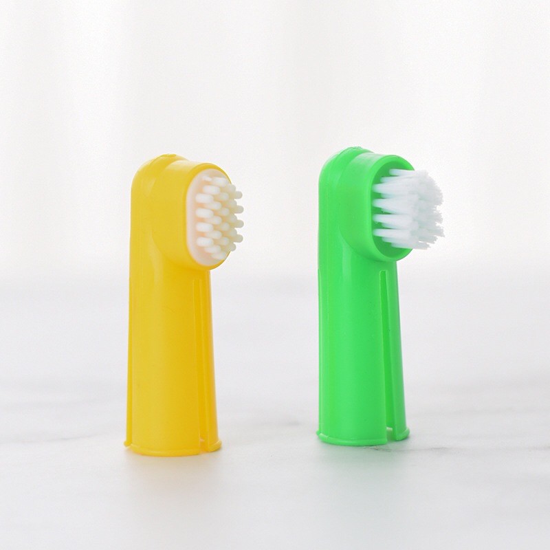 Bộ bàn chải và kem đánh răng dành cho chó mèo Pet Toothpaste, chăm sóc răng miệng thú cưng - Kitty Pet Shop B