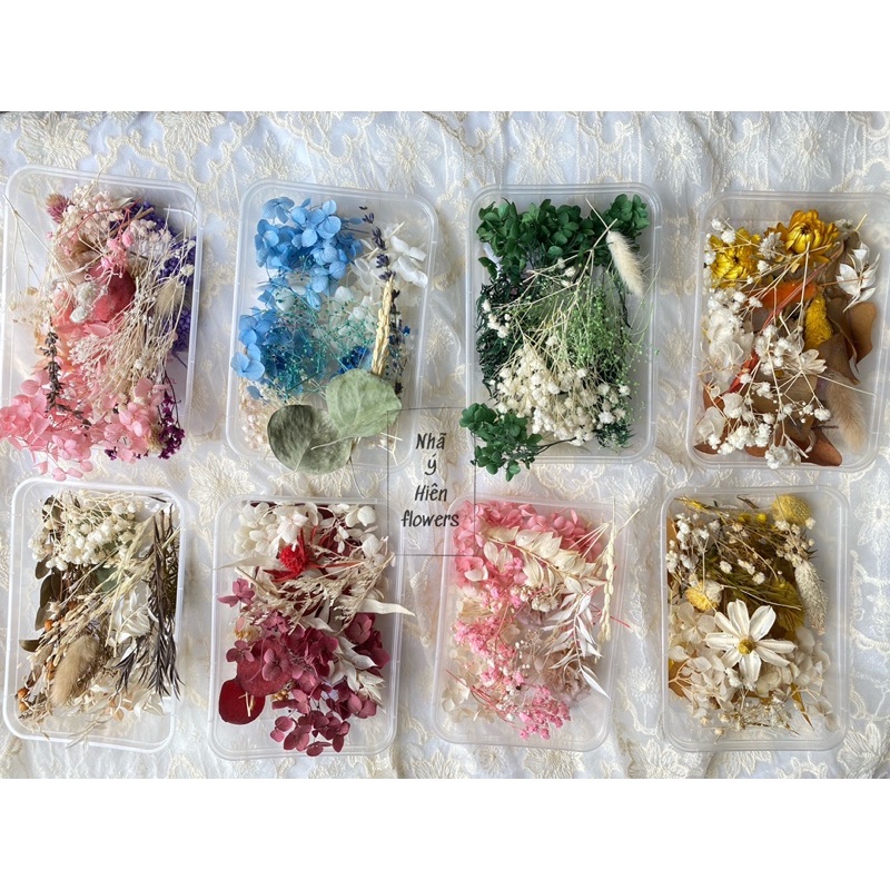 Set Hoa Khô Hỗn Hợp Làm DIY, HANDMADE - Hoa khô Vĩnh Cửu