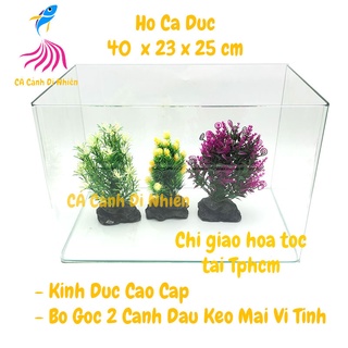 Hồ kính đúc nuôi cá thủy sinh 2 cạnh uốn cong bể size 40x23x25 cm