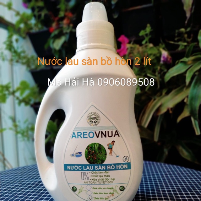 Nước lau sàn bồ hòn