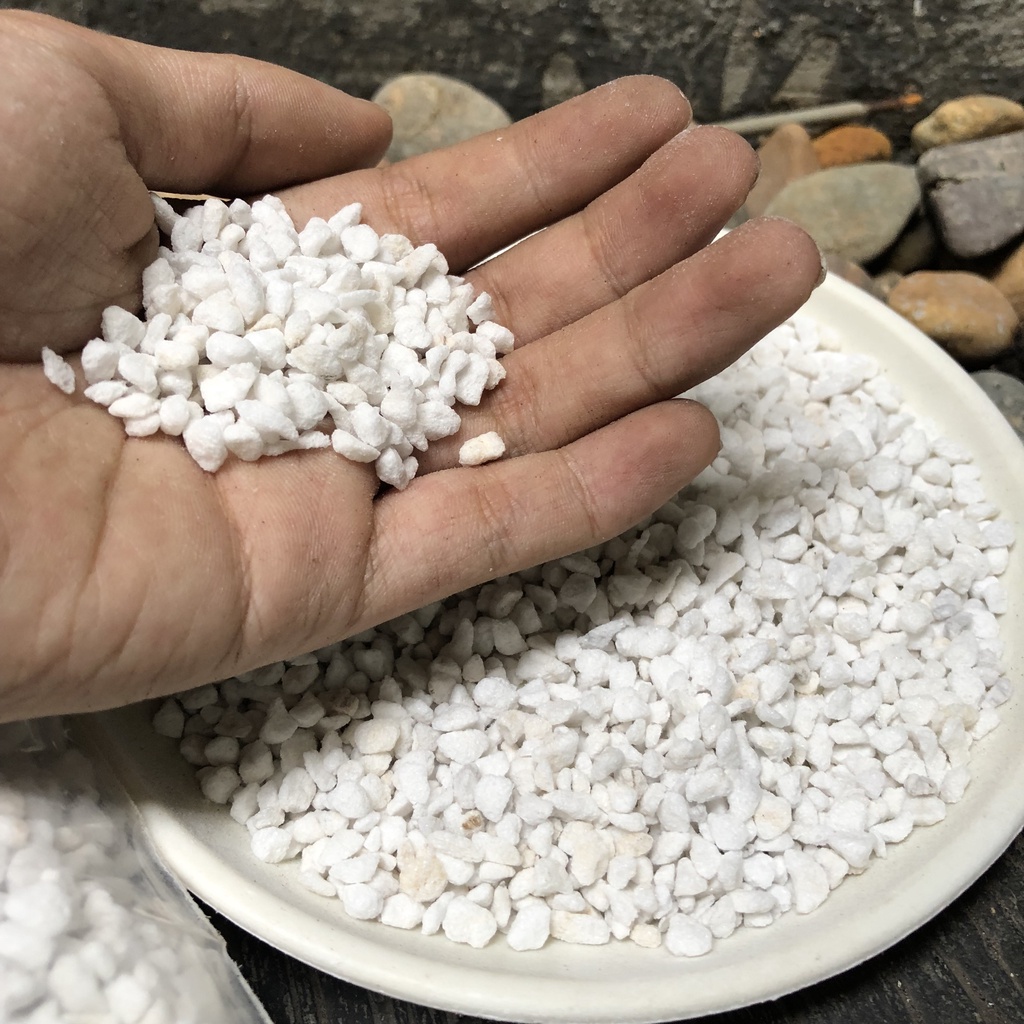 Đá Perlite - Đá Trân Châu (5dm3)