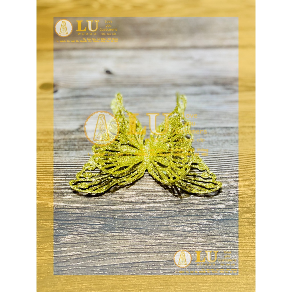 Hoa bướm kim tuyến | LU