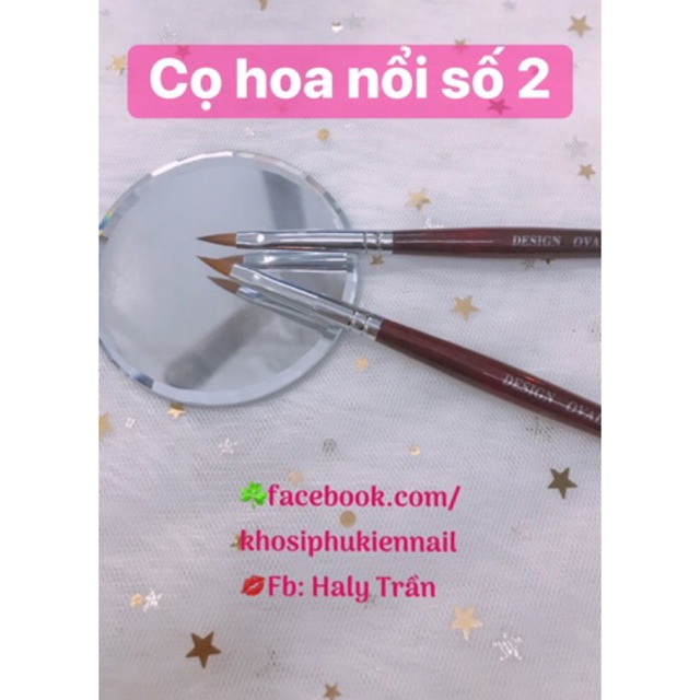 Cọ hoa nổi hàng đẹp số 2 korea