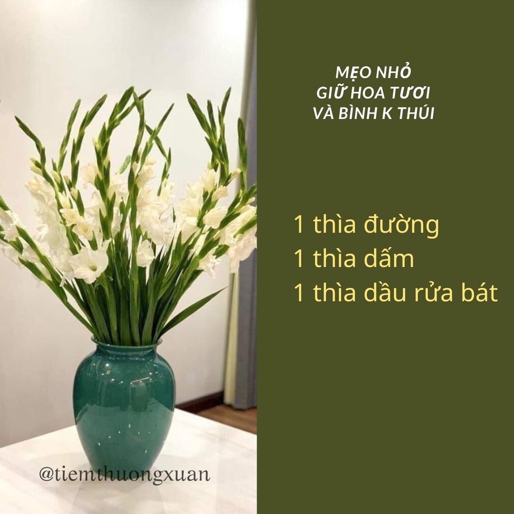 Bình hoa decor, trang trí văn phòng nhà cửa - Lọ hoa Tết cắm đào, tuyết mai