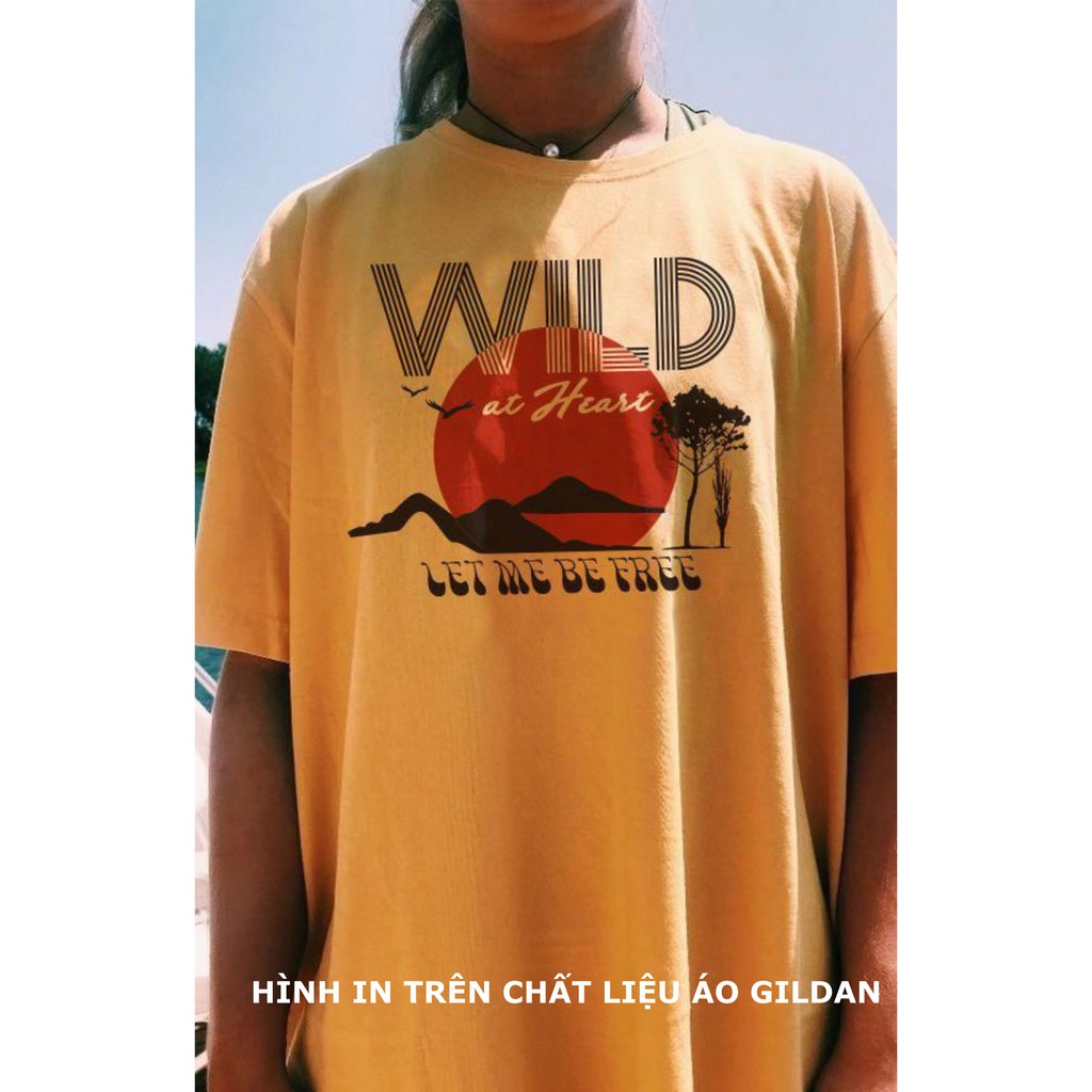 Áo thun Gildan Hammer  chuẩn chính hãng - 100% cotton