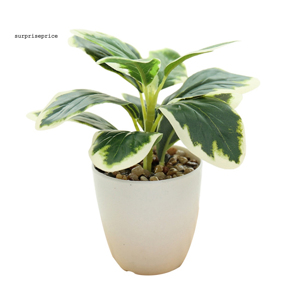 Chậu Cây Cảnh Nhân Tạo Sống Động Dùng Trang Trí Nhà Cửa/ Tiệc Cưới