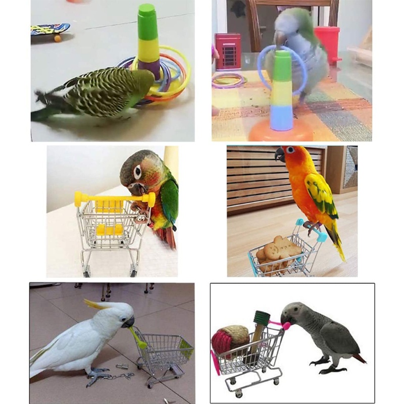 Set đồ chơi bóng rổ 4 loại bằng kim loại cho vẹt