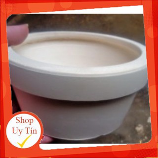 Chậu trắng lùn loại lớn🔥 |FREESHIP 🌺 SIÊU XINH | LỖI 1 ĐỔI 1