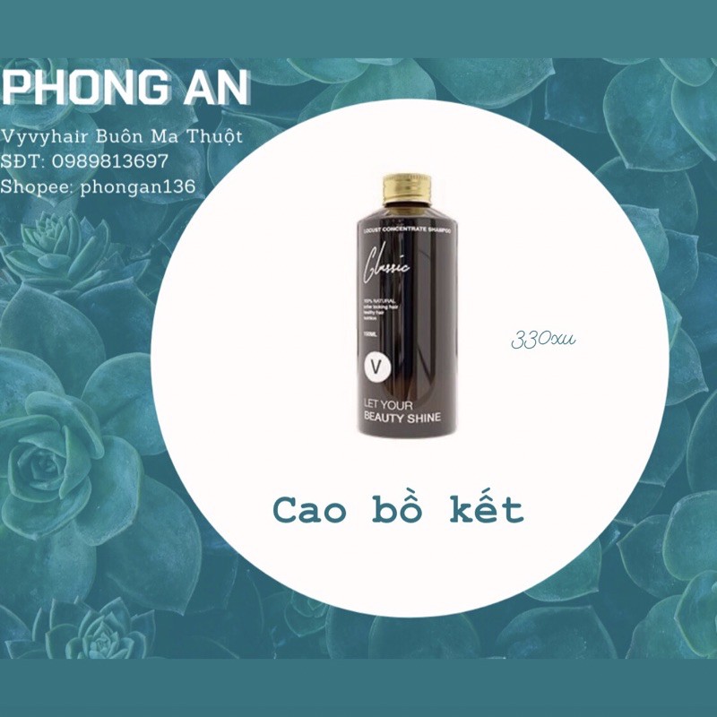 Cao Bồ Kết Classic