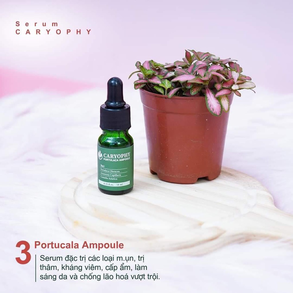 Serum ngăn ngừa mụn và thâm Caryophy Chính Hãng - Serum Mụn Ngăn Ngừa Mụn Ẩn,Mụn Đầu Đen | BigBuy360 - bigbuy360.vn