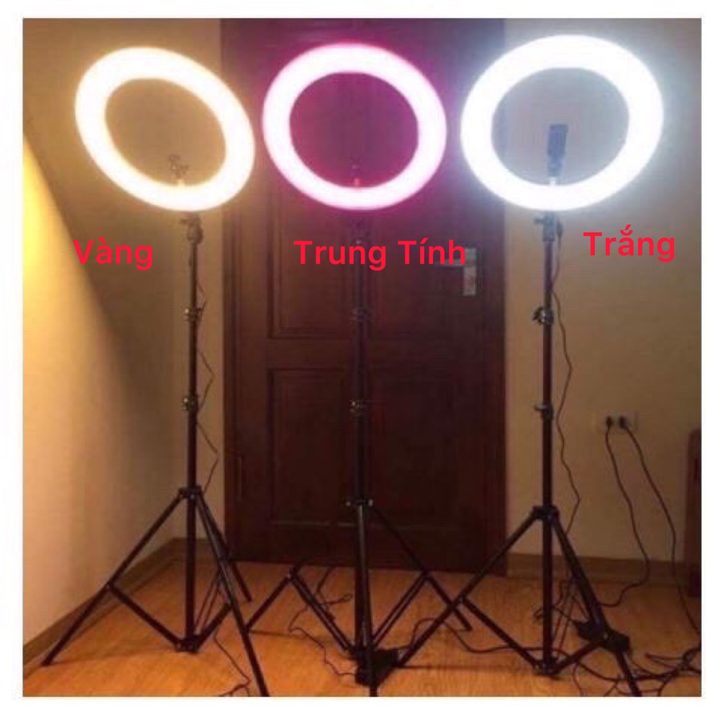 ĐÈN LIVESTREAM -Hỗ Trợ CHỤP HÌNH - MAKE UP- LIVE STREAM BÁN HÀNG - NAIL MI - Full size đèn💝 | BigBuy360 - bigbuy360.vn