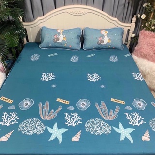 Ga chống thấm Cotton nằm trực tiếp thoáng mát BIGMOM