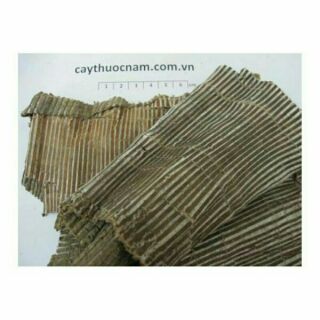 Sỉ giá gốc đỗ trọng 100g - 200g - 300g