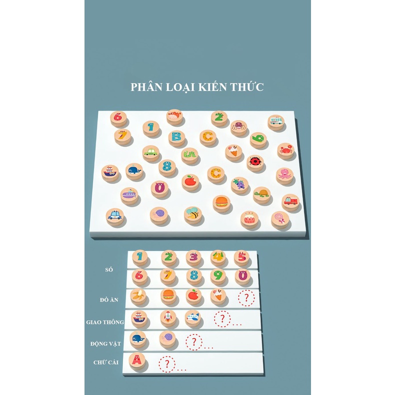 Bộ đồ chơi truy tìm các quân cờ và các thẻ giống nhau