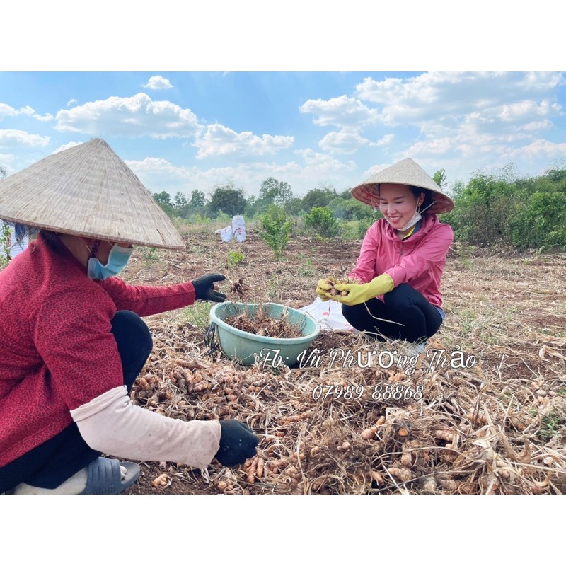 XÀ BÔNG TRẮNG DA SỮA GẠO NGHỆ | BigBuy360 - bigbuy360.vn