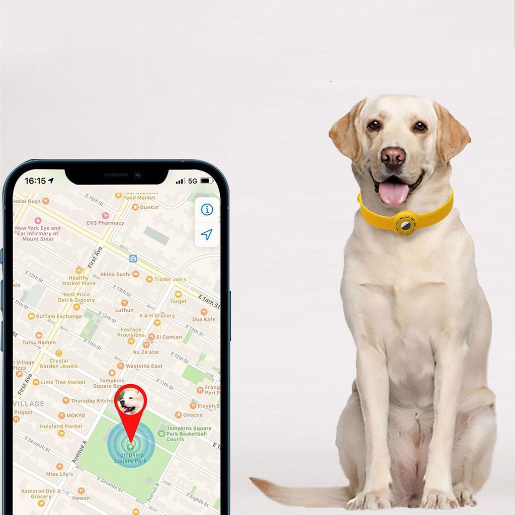 Augustina. Ốp Lưng Silicon Siêu Nhẹ Chống Trầy Xước Nhiều Màu Sắc Cho Thú Cưng Ốp Lưng Bảo Vệ Điện Thoại