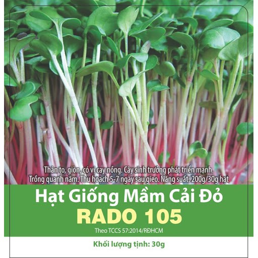 (Trồng ăn liền) Hạt giống Rau mầm củ cải đỏ_ Gói 30gr