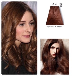 Thuốc Nhuộm Tóc Màu Nâu Đồng Light Copper Brown không cần tẩy hairdyecream