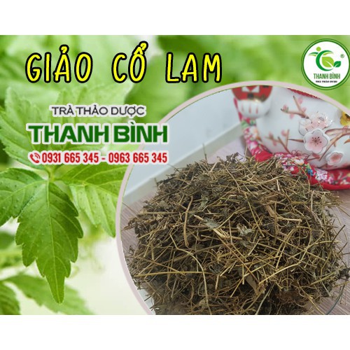 Combo 2Kg Giảo Cổ Lam Sapa - Thảo Dược Uy Tín