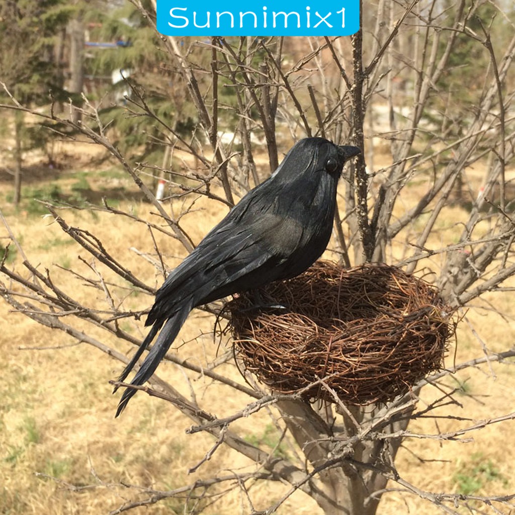 Mô Hình Chim Raven Magpie Nhân Tạo Sống Động Trang Trí Nhà Cửa / Sân Vườn